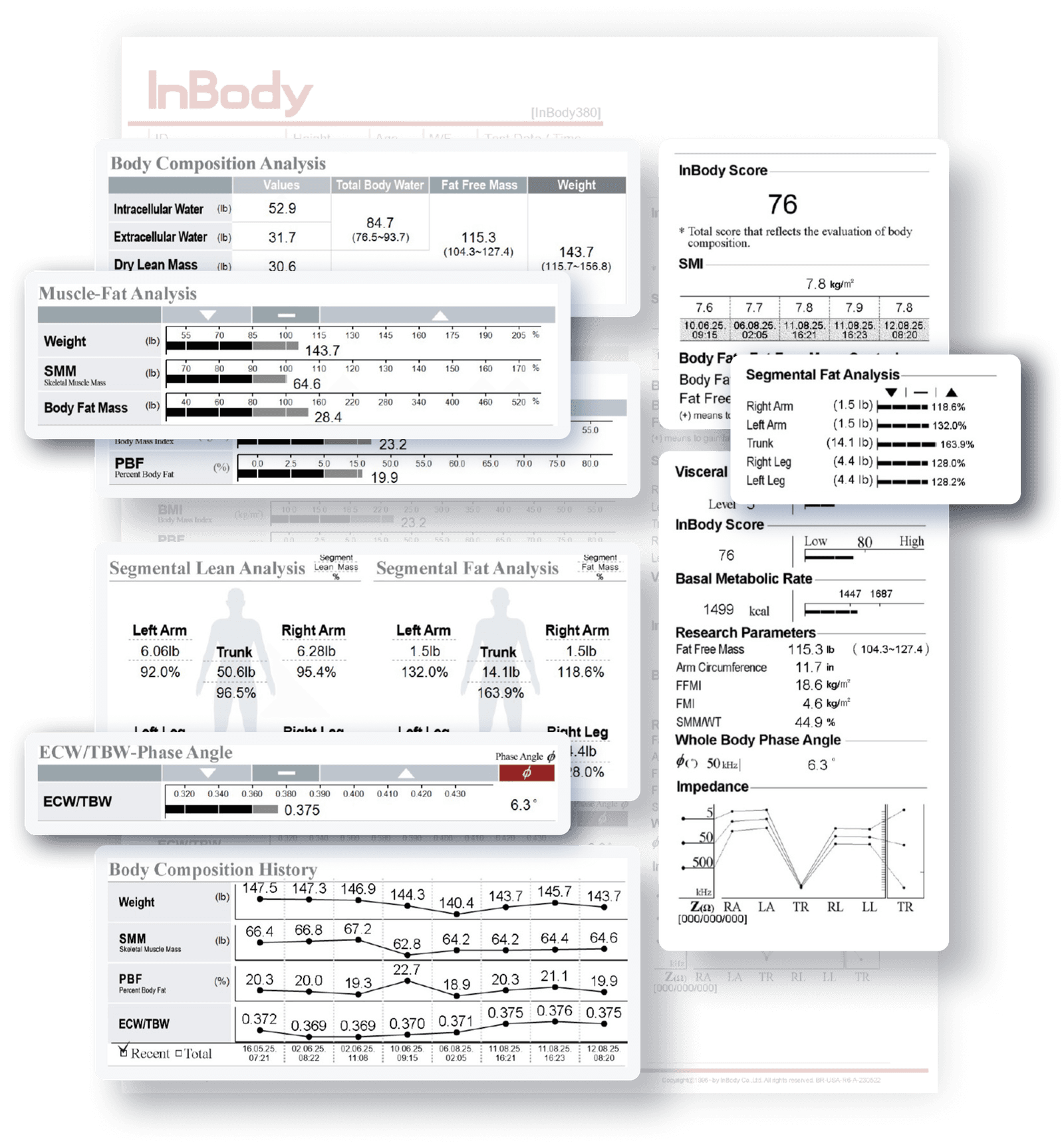InBody 380 Result Sheet